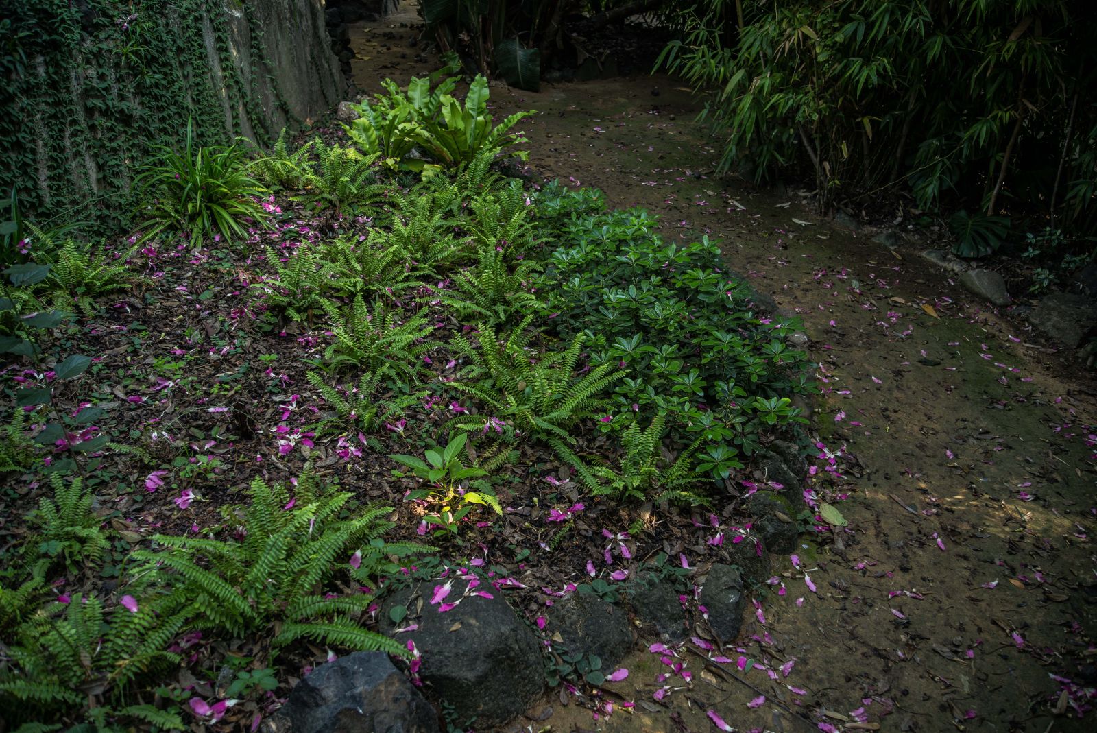 Jardim Botânico Tropical, 2021. Fotos: © Rui Sérgio Afonso